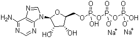 CAS 登录号：51963-61-2, 磷酸腺苷钠, 磷酸腺甙钠, 三磷酸腺苷二钠, 腺嘌呤核苷-5'-三磷酸酯二钠盐