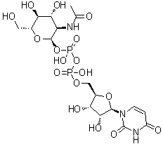 CAS 登录号：528-04-1, 尿苷 5'-(2-乙酰氨基-2-脱氧-alpha-D-葡糖基焦磷酸酯)