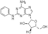 2-Phenylaminoadenosine molecular structure (CAS 53296-10-9)