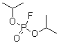 CAS # 55-91-4, Neoglaucit, Diflupyl, Diisopropoxyphosphoryl fluoride, Diisopropyl fluorophosphate, Diisopropyl phosphofluoridate, Diisopropyl phosphorofluoridate, Dyflos, Floropryl, Fluorodiisopropyl phosphate, Fluostigmine, Isoflurophate