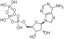 CAS 登录号：56-65-5, 5'-三磷酸腺苷, 腺苷-5'-三磷酸