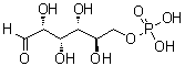 CAS 登录号：56-73-5, D-葡萄糖 6-磷酸酯