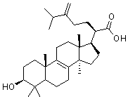 CAS # 560-66-7, 3beta-Hydroxy-24-methylene-8-lanosten-21-oic acid, Eburcoic acid, Eburicoic acid, NSC 41969
