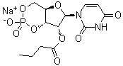 CAS 登录号：57329-12-1, 尿苷环-3',5'-(磷酸氢酯) 2'-丁酸酯单钠盐
