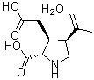 structure of CAS# 58002-62-3, [2S-(2alpha,3beta,4beta)]-2-羧基-4-(1-甲基乙烯基)-3-吡咯烷乙酸一水合物