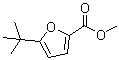 5-叔丁基呋喃-2-羧酸甲酯分子结构 (CAS 59907-23-2)