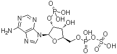 CAS 登录号：62230-89-1, 2'-磷酰腺苷 5'-磷酰硫酸酯
