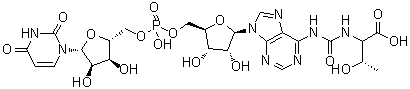CAS 登录号：66004-53-3, (S)-尿苷酰基-(3'→5')-N-[[(1-羧基-2-羟基丙基)氨基]羰基]腺苷