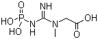 structure of CAS# 67-07-2, 磷酸肌酸