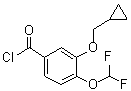 CAS # 672883-68-0, 3-(Cyclopropylmethoxy)-4-(difluoromethoxy)benzoyl chloride, 3-Cyclopropylmethoxy-4-difluoromethoxybenzoyl chloride