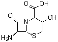 CAS 登录号：68403-70-3, 7-氨基-3-羟基头孢烷-4-羧酸