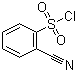 CAS 登录号：69360-26-5, 2-氰基苯磺酰氯, 邻氰基苯磺酰氯