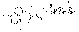 CAS 登录号：70318-62-6, 6-S-甲基-6-硫代鸟苷 5'-(三磷酸四氢酯)