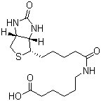 CAS 登录号：72040-64-3, N-生物素己酸