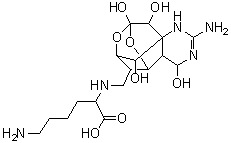 CAS # 73600-92-7, [<sup>3</sup>H]-Lysine-tetrodotoxin, [11(S)]-11-[(5-Amino-1-carboxypentyl)amino]-11-deoxytetrodotoxin labeled with tritium
