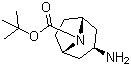 structure of CAS# 744183-20-8, N-Boc-exo-3-氨基托烷