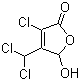 CAS # 77439-76-0, 3-Chloro-4-(dichloromethyl)-5-hydroxy-2(5H)-furanone