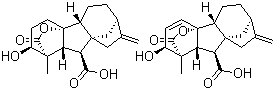 CAS 登录号：8030-53-3, 赤霉素 D
