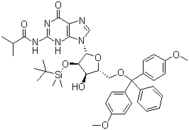 CAS # 81279-39-2, 5'-O-[Bis(4-methoxyphenyl)phenylmethyl]-2'-O-[(tert-butyl)dimethylsilyl]-N-(2-methyl-1-oxopropyl)guanosine, N-[9-[(2R,3R,4R,5R)-5-[[bis(4-methoxyphenyl)-phenylmethoxy]methyl]-3-[tert-butyl(dimethyl)silyl]oxy-4-hydroxyoxolan-2-yl]-6-oxo-1H-purin-2-yl]-2-methylpropanamide