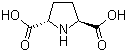 CAS 登录号：81702-31-0, (2S,5S)-吡咯烷-2,5-二羧酸