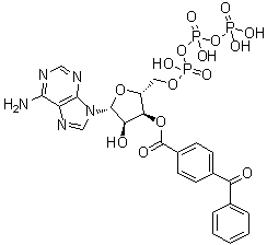 structure of CAS# 81790-82-1, Adenosine 5'-(tetrahydrogen triphosphate) 3'-(4-benzoylbenzoate)