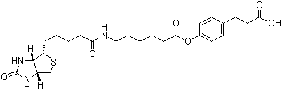 CAS 登录号：83592-10-3, 3-(4-(N-生物素-6-氨基己羧基)苯基)丙酸