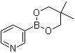 structure of CAS# 845885-86-1, 吡啶-3-硼酸新戊二醇酯