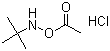 CAS 登录号：851074-40-3, N-(乙酰基氧基)-2-甲基-2-丙胺盐酸盐