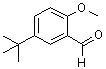 structure of CAS# 85943-26-6, 5-tert-Butyl-2-methoxybenzaldehyde