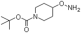 structure of CAS# 867034-25-1, tert-Butyl 4-(aminooxy)piperidine-1-carboxylate