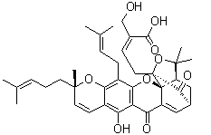CAS 登录号：881027-36-7, 30-羟基表藤黄酸