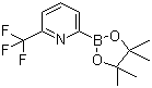 structure of CAS# 881402-16-0, 6-(三氟甲基)吡啶-2-硼酸频哪醇酯