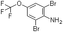 CAS 登录号：88149-49-9, 3,5-二溴-4-氨基三氟甲氧基苯