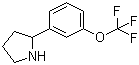 CAS 登录号：886502-97-2, 2-[3-(三氟甲氧基)苯基]吡咯烷