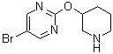 structure of CAS# 914347-73-2, 5-溴-2-(3-哌啶基氧基)嘧啶