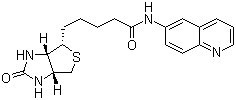 CAS 登录号：91853-89-3, 生物素基-6-氨基喹啉