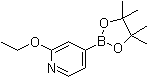 structure of CAS# 957346-47-3, 2-乙氧基吡啶-4-硼酸频哪醇酯