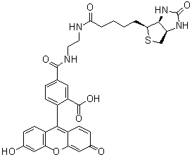 structure of CAS# 957494-27-8, 5-[[[2-[[5-[(3aS,4S,6aR)-Hexahydro-2-oxo-1H-thieno[3,4-d]imidazol-4-yl]-1-oxopentyl]amino]ethyl]amino]carbonyl]-2-(6-hydroxy-3-oxo-3H-xanthen-9-yl)benzoic acid