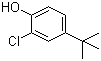 structure of CAS# 98-28-2, 2-氯-4-叔丁基苯酚
