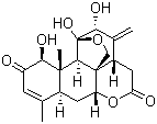 CAS 登录号：981-15-7, 臭椿酮