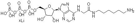 CAS 登录号：98704-19-9, N-[2-[(6-氨基己基)氨基]-2-氧代乙基]-腺苷 5'-(四氢三磷酸酯)锂盐