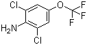 structure of CAS# 99479-66-0, 2,6-二氯-4-(三氟甲氧基)苯胺