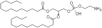CAS 登录号：998-07-2, 二肉豆蔻酰基磷脂酰乙醇胺, 1,2-二肉豆蔻酰-sn-甘油-3-磷酰乙醇胺